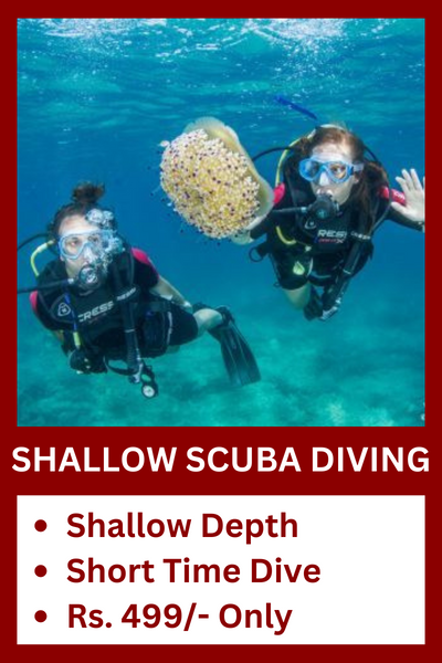 shallow scuba rate in malvan