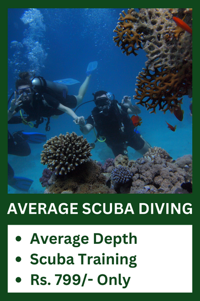 average scuba rate in tarkarli
